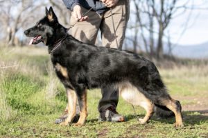 View Nymeria aus dem Tal