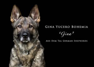 View Gina Yucero Bohemia, IPO3